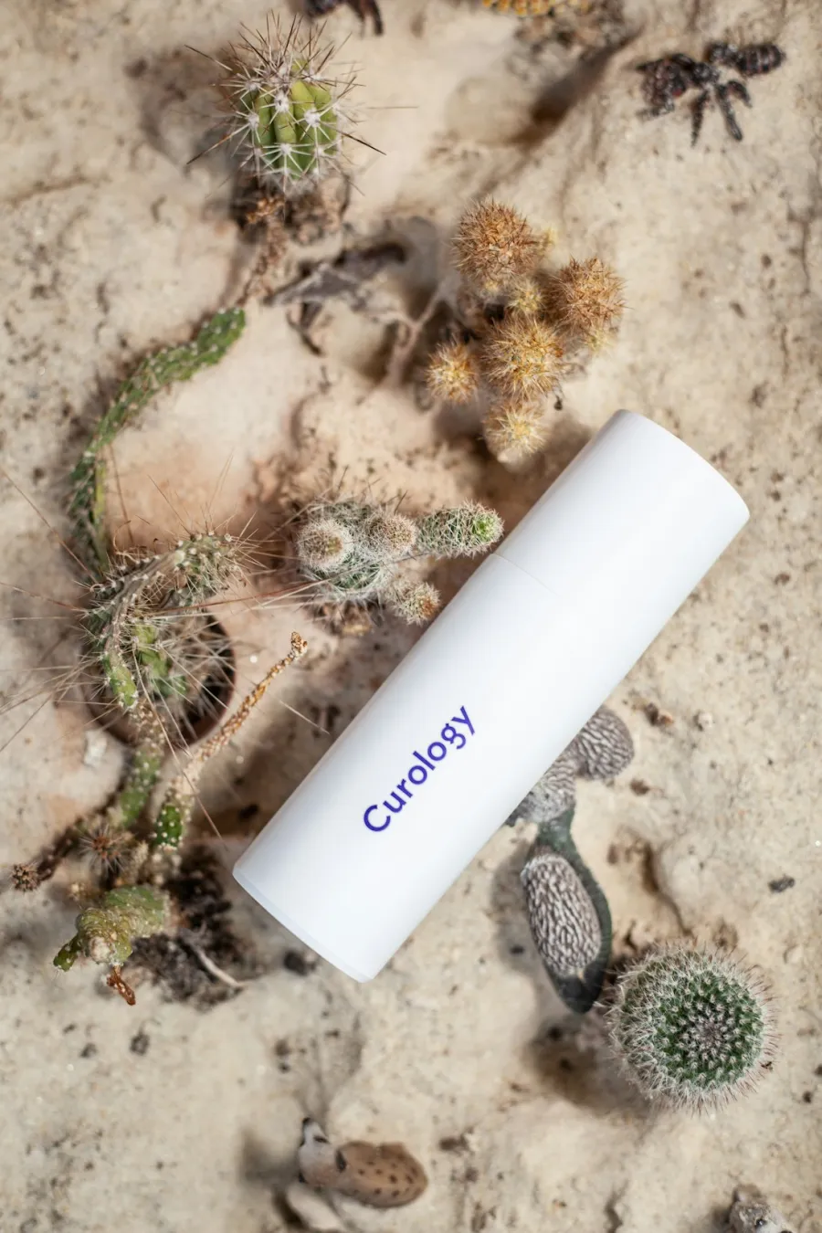 Güneş Ürünleri